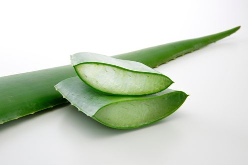 ALOE VERA